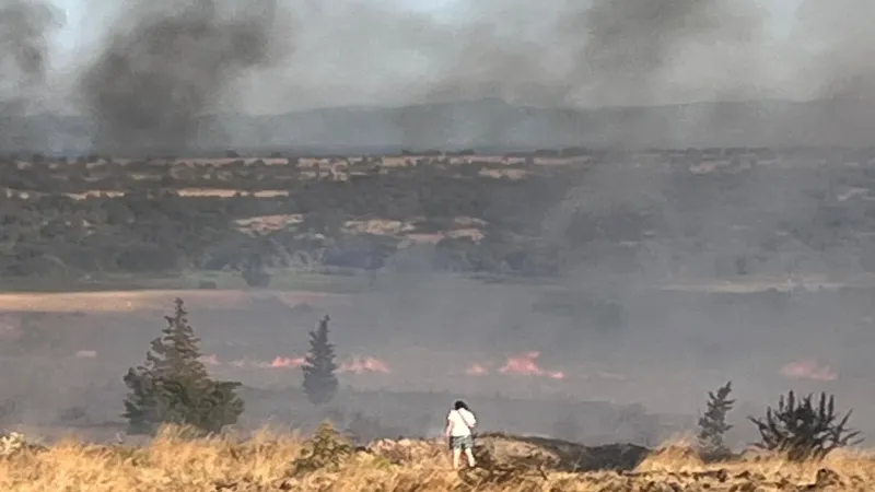 Enez'de orman yangını paniği... Gülçavuş sahili boşaltılıyor