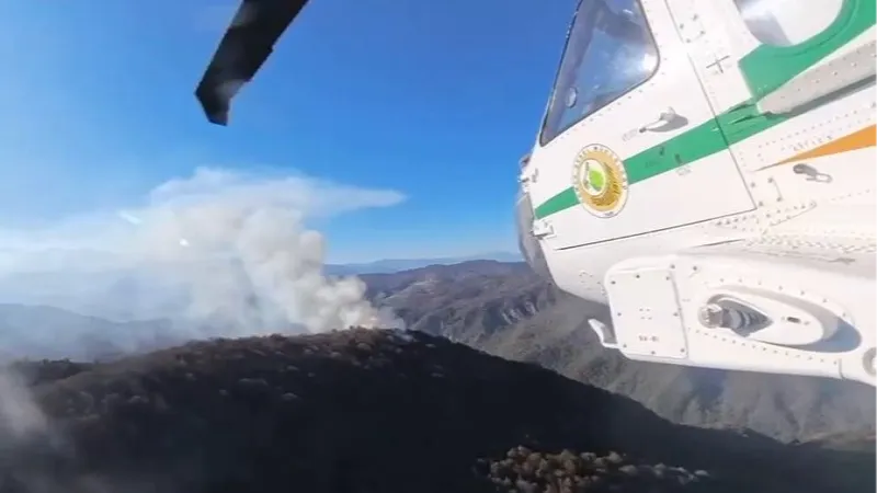 İran’daki orman yangınlarına Türkiye'den destek