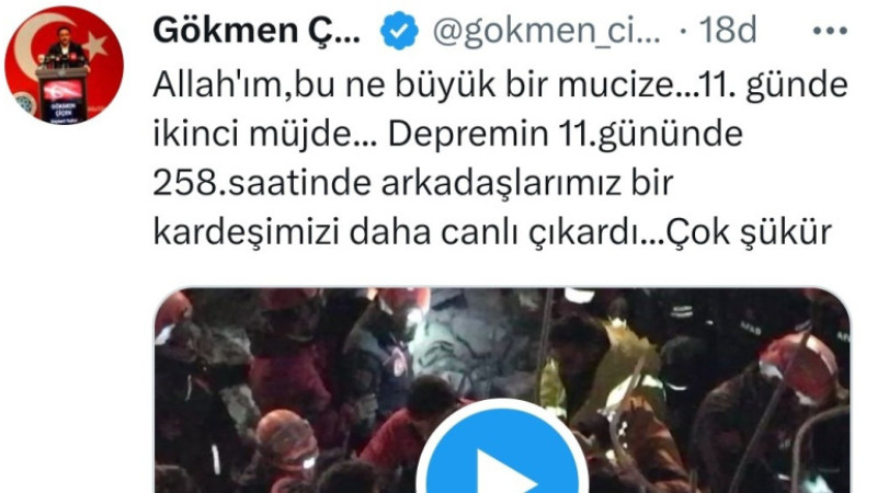 Vali Çiçek: 