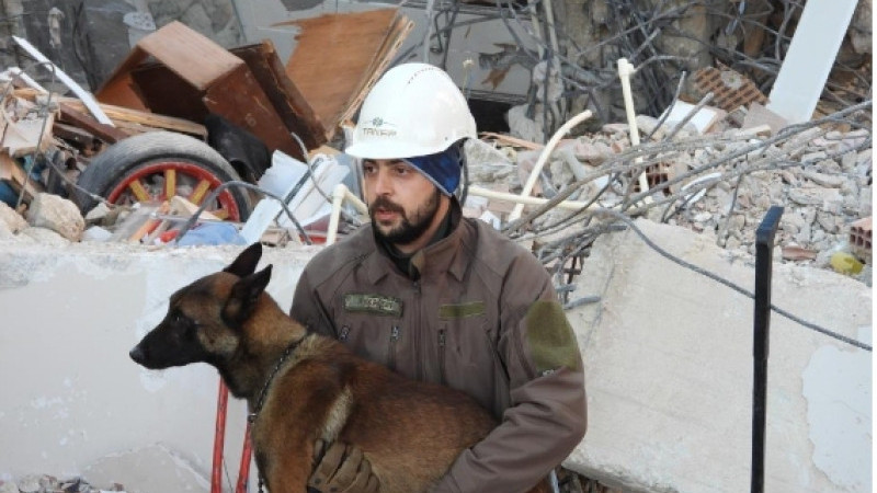 Arama kurtarma köpeği Tetik tek başına Samandağ'da 15 can kurtardı